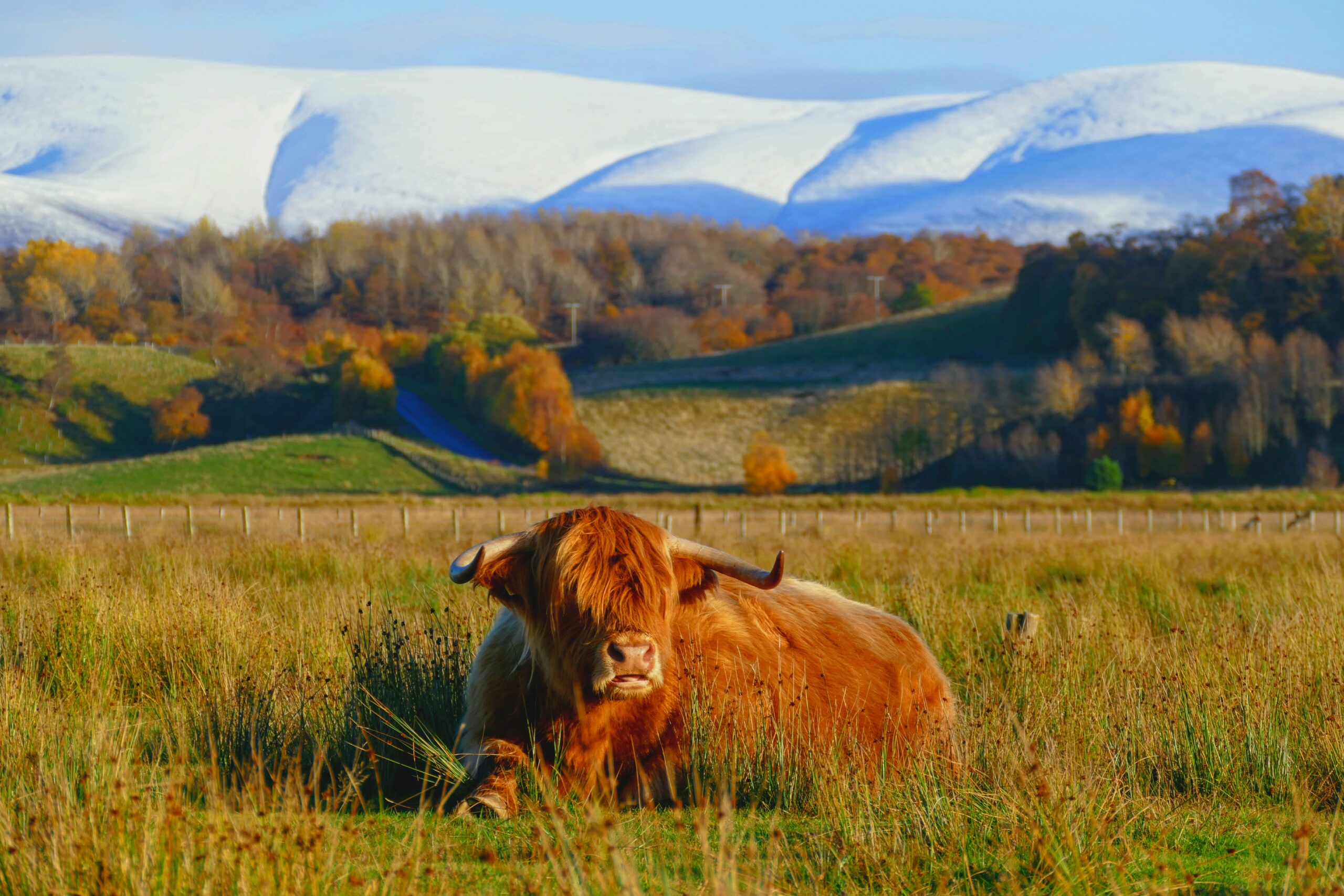Cairngorms National Park