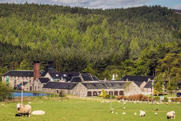 best-place-to-eat view from Aviemore holiday cottage